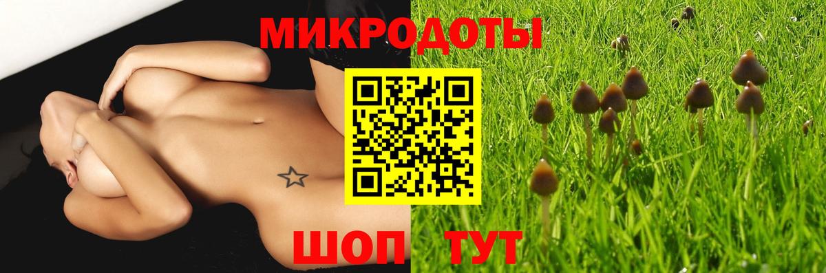 Галлюциногенные грибы Magic Shrooms  Вход с VPN  Луга 